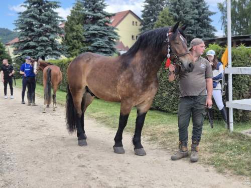 510141978_1248333050089980_4476662956227913626_n